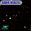 LEDA   85621