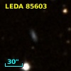 LEDA   85603