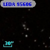 LEDA   85606