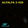 ALFALFA 2-429