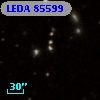 LEDA   85599