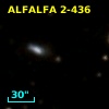 ALFALFA 2-436