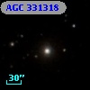 AGC 331318