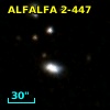 ALFALFA 2-447
