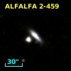 ALFALFA 2-459