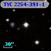 TYC 2254-391-1
