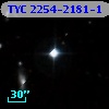 TYC 2254-2181-1
