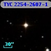 TYC 2254-2607-1