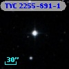 TYC 2255-891-1