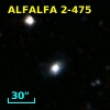 ALFALFA 2-475