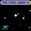 TYC 2255-1047-1