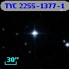 TYC 2255-1377-1