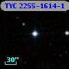 TYC 2255-1614-1