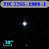 TYC 2255-1909-1