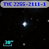 TYC 2255-2111-1