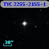 TYC 2255-2155-1