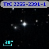 TYC 2255-2391-1