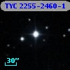 TYC 2255-2460-1