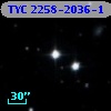 TYC 2258-2036-1