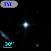TYC 1732-207-1