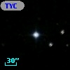 TYC 1732-462-1