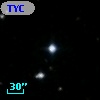 TYC 1732-990-1