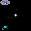 TYC 1733-75-1