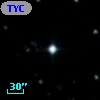 TYC 1733-1207-1