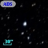 ADS   318