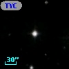 TYC 1741-1142-1
