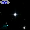 TYC 1741-1559-1