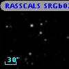 RASSCALS SRGb075