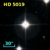 HD   5019