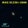 IRAS 01236+2606