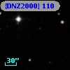 [DNZ2000] 110