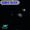 LEDA    9133