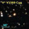 V* V1569 Cyg