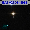 IRAS 02524+1901
