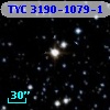 TYC 3190-1079-1