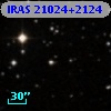 IRAS 21024+2124