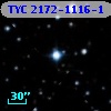 TYC 2172-1116-1