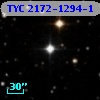 TYC 2172-1294-1