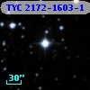 TYC 2172-1603-1