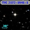 TYC 2172-1841-1
