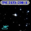 TYC 2173-230-1