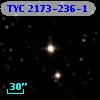 TYC 2173-236-1