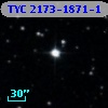 TYC 2173-1871-1