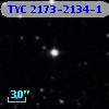 TYC 2173-2134-1