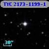 TYC 2173-1199-1