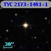 TYC 2173-1481-1